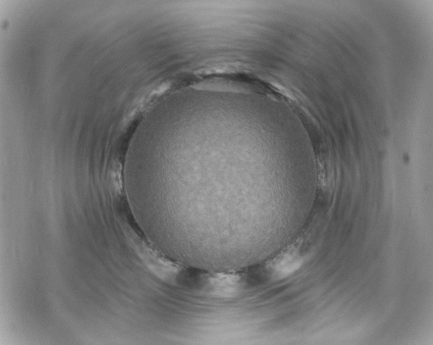 X0000070360718200606161251