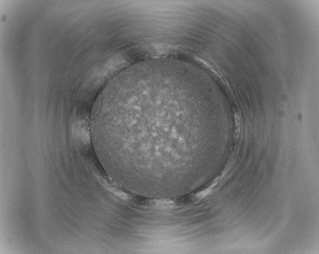 X0000070360719200606161251