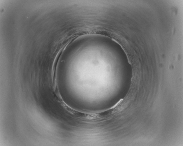 X0000070360720200606161251