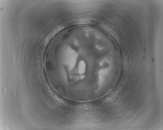 X0000070360721200606161251