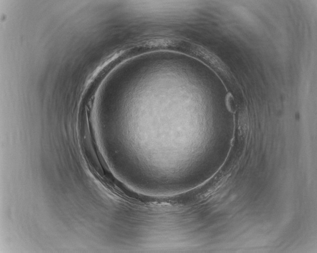 X0000070360722200606161251