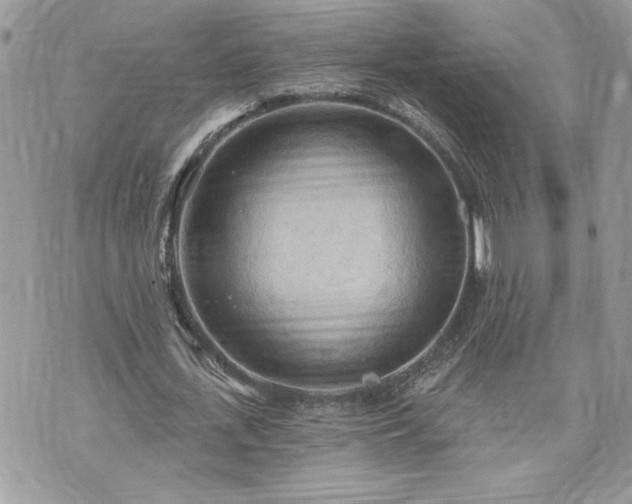 X0000070360723200606161251