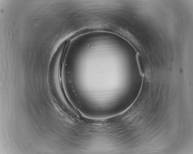 X0000070360724200606161251