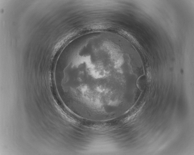 X0000070360725200606161251