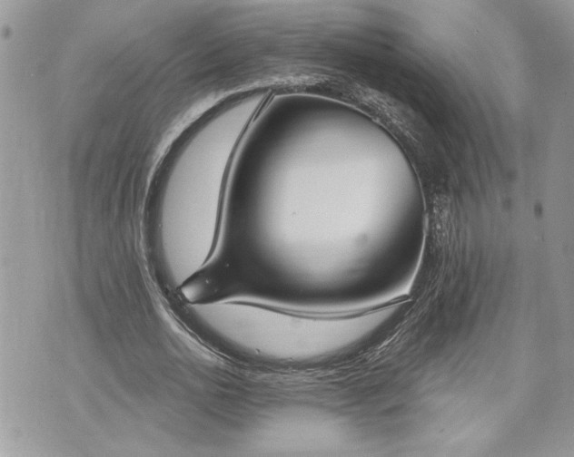 X0000070360726200606161251