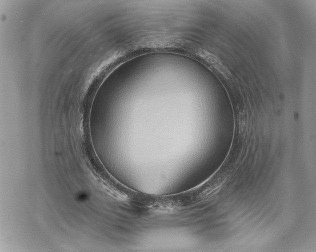 X0000070360727200606161251