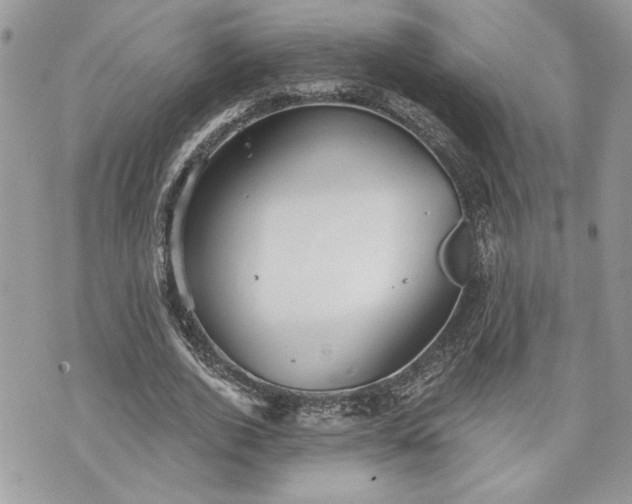 X0000070360728200606161251