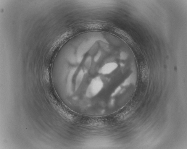 X0000070360729200606161251