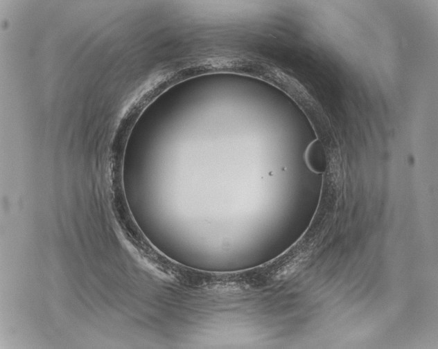 X0000070360730200606161251