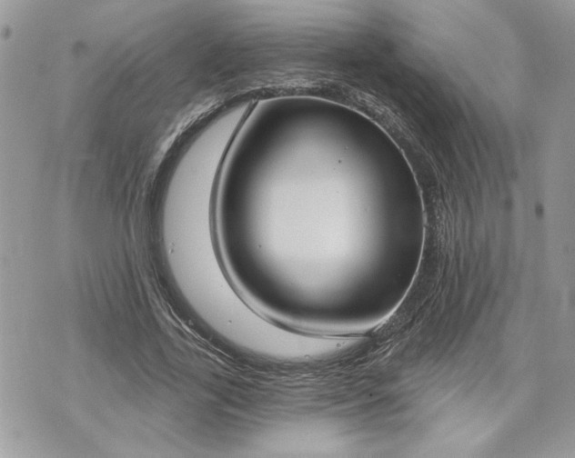 X0000070360731200606161251