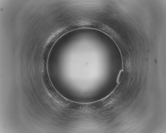 X0000070360732200606161251