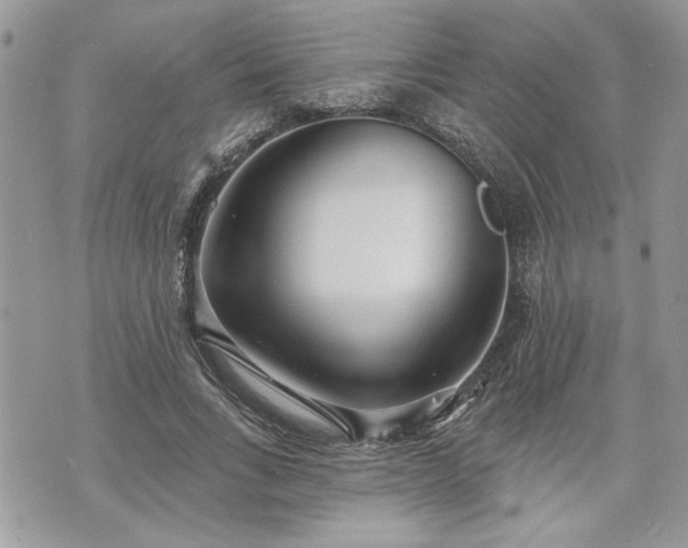 X0000070360735200606161251