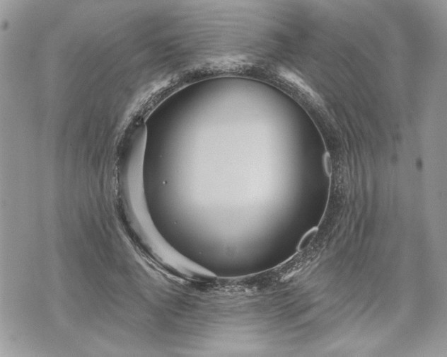 X0000070360736200606161251