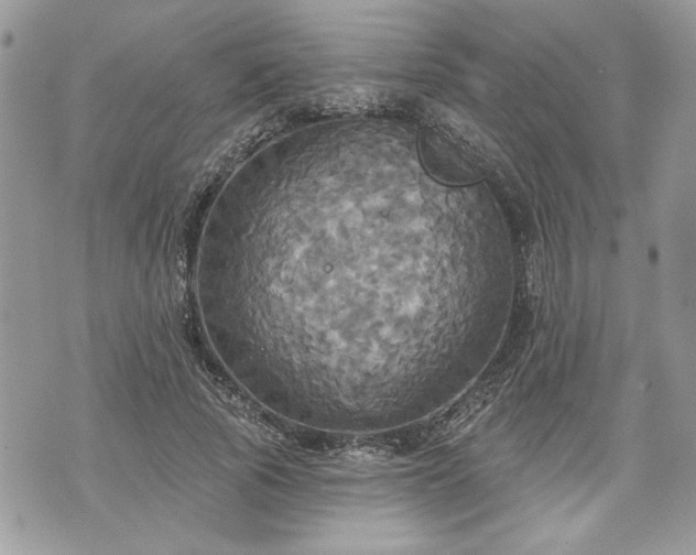 X0000070360737200606161251