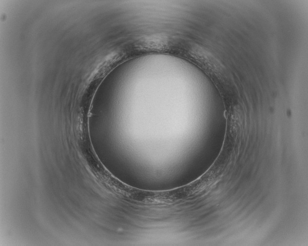 X0000070360739200606161251