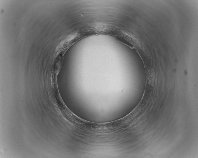 X0000070360740200606161251