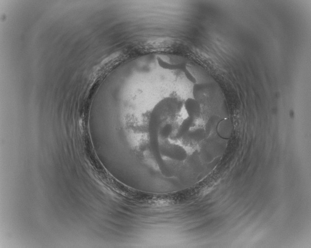 X0000070360741200606161251