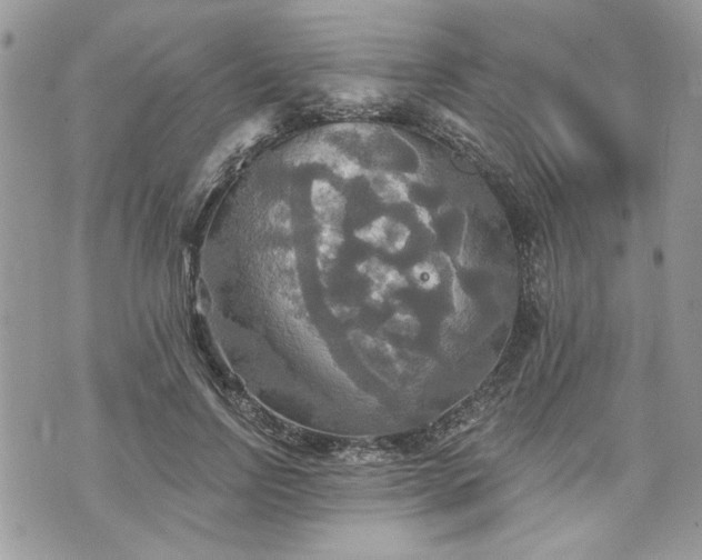 X0000070360742200606161251