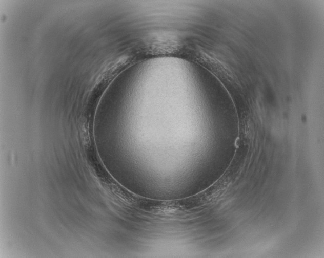 X0000070360743200606161251