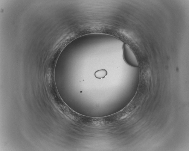 X0000070360744200606161251