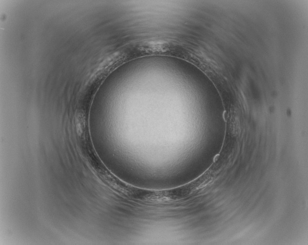 X0000070360747200606161251