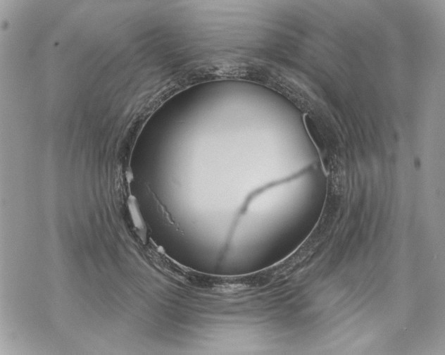 X0000070360748200606161251