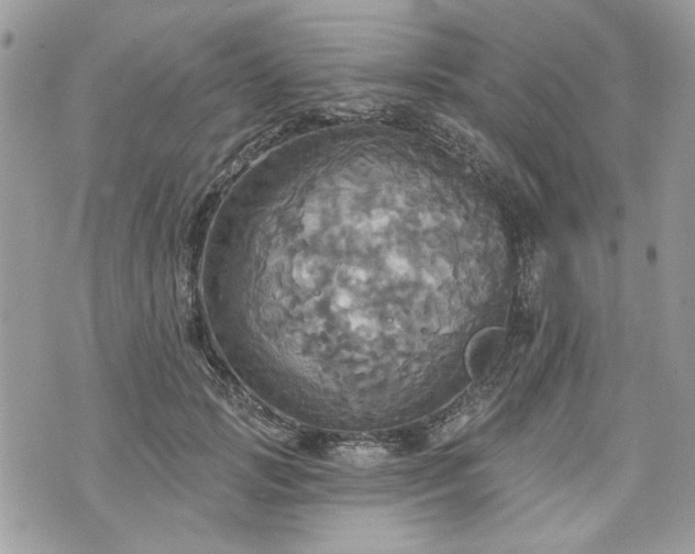 X0000070360749200606161251