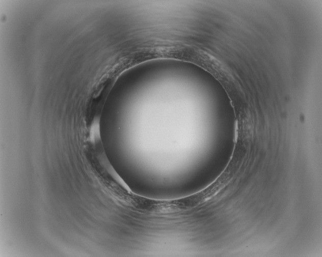 X0000070360750200606161251