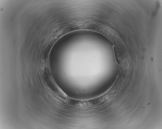 X0000070360752200606161251