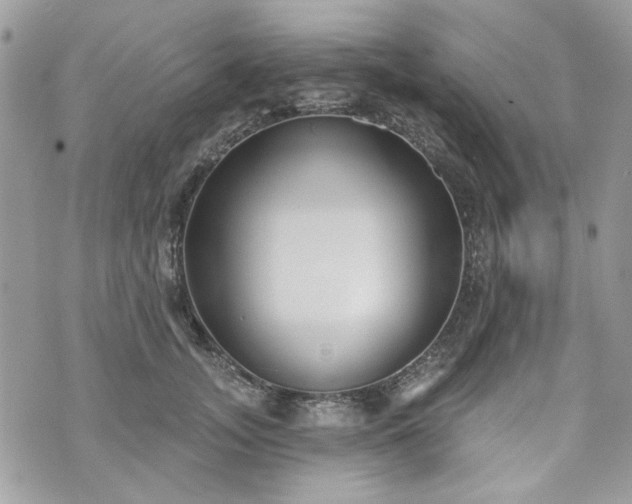 X0000070360755200606161251