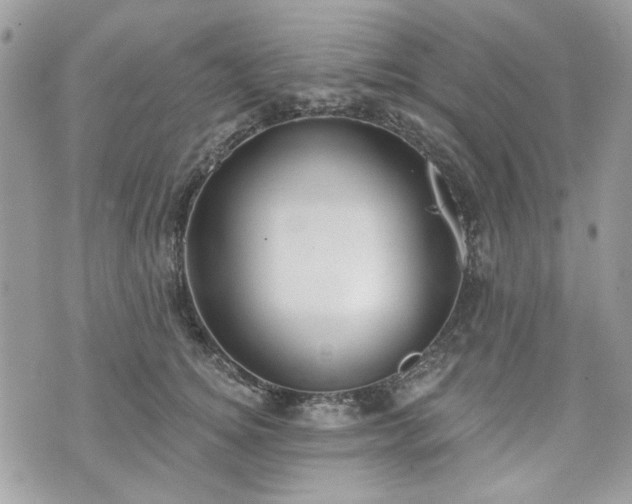 X0000070360756200606161251