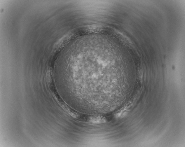 X0000070360757200606161251