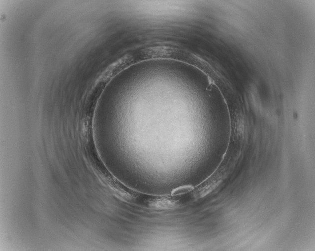 X0000070360759200606161251