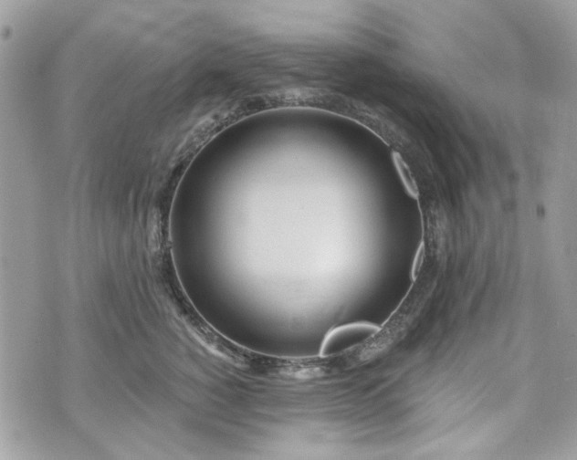 X0000070360760200606161251