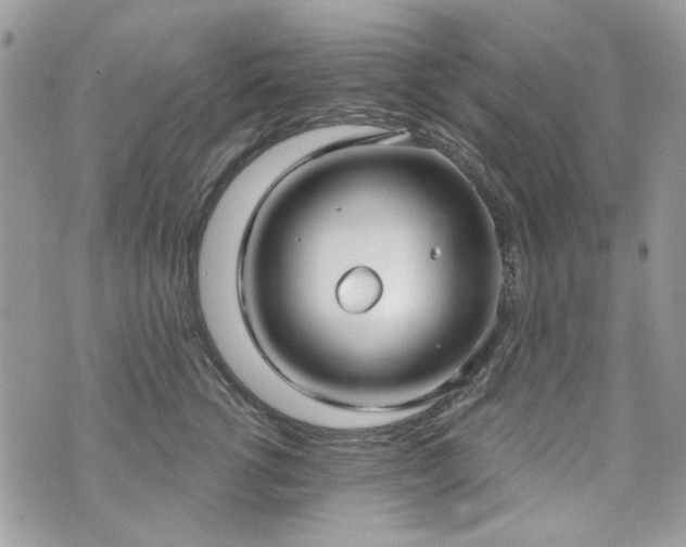 X0000070360762200606161251