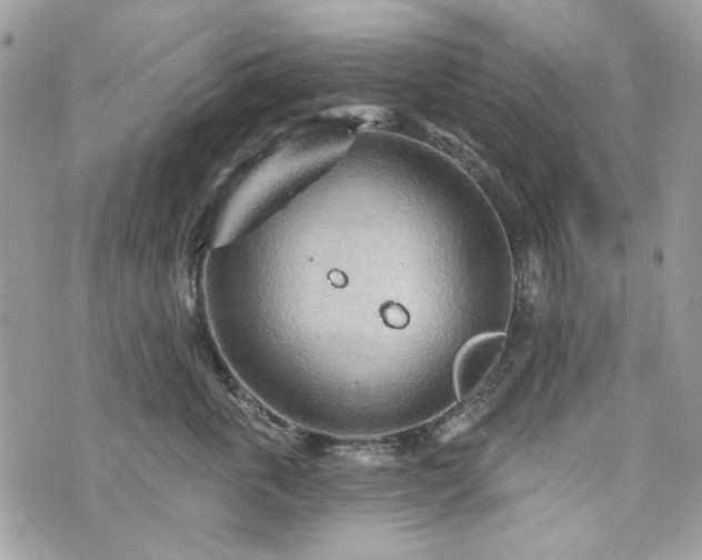 X0000070360763200606161251