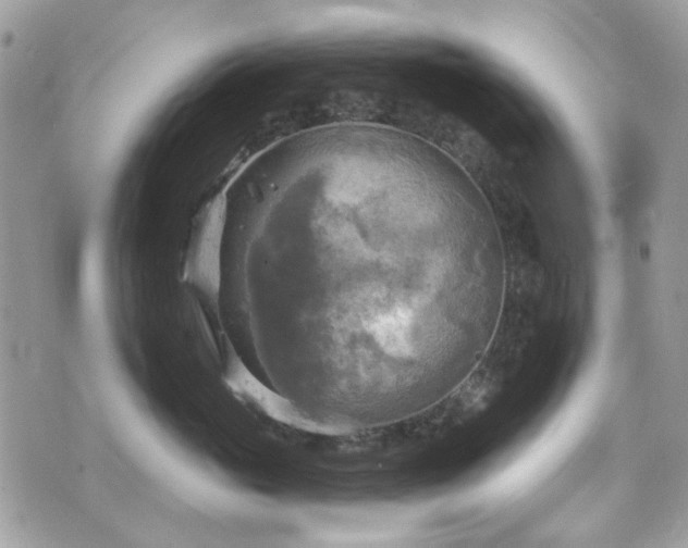 X0000070360765200606161251