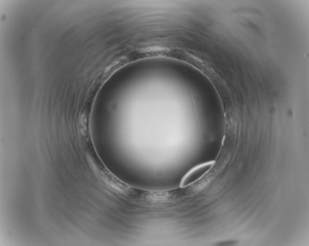 X0000070360767200606161251