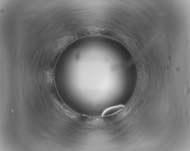 X0000070360768200606161251