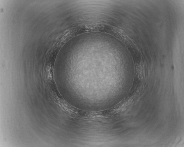 X0000070360770200606161251