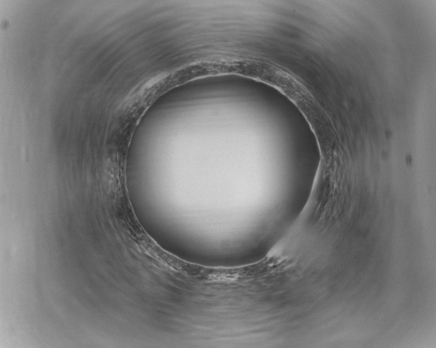 X0000070360773200606161251