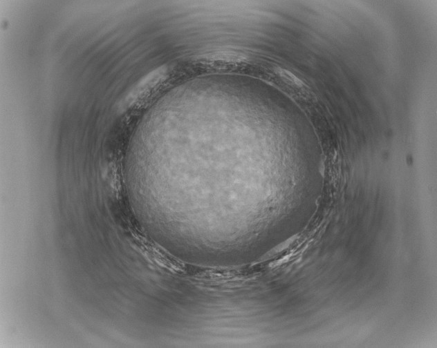 X0000070360774200606161251