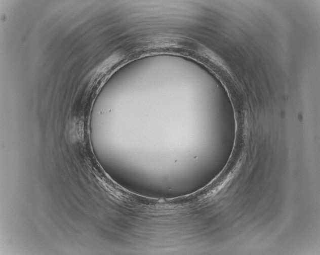 X0000070360777200606161250