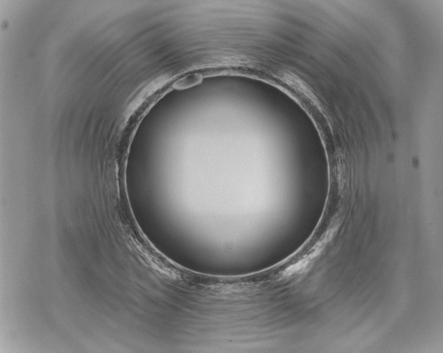 X0000070360781200606161250