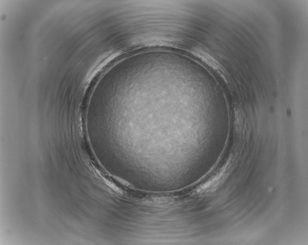 X0000070360782200606161250