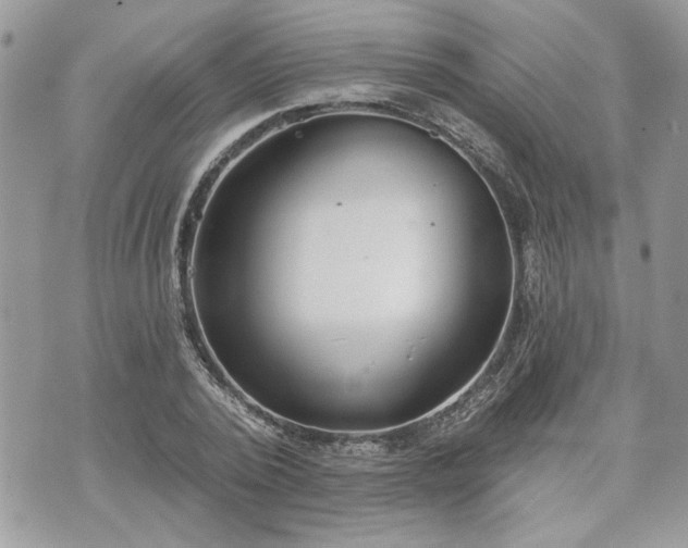 X0000070360784200606161250