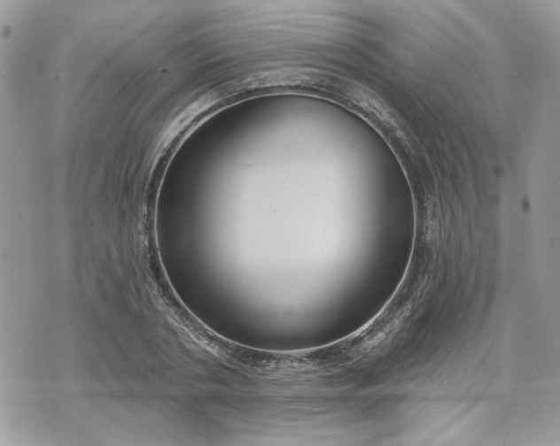 X0000070360786200606161250