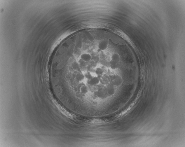 X0000070360787200606161250