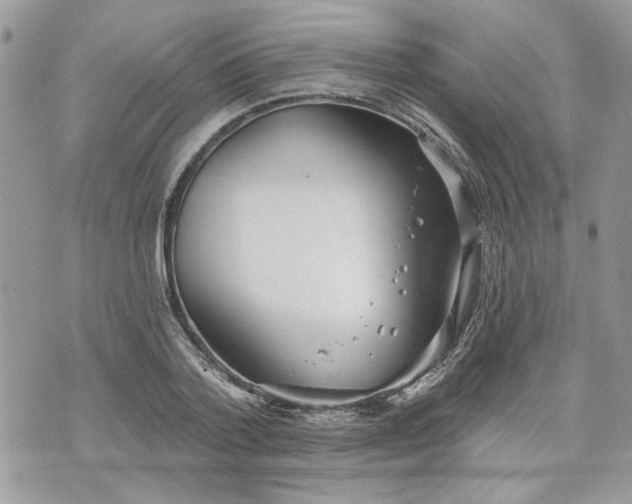 X0000070360788200606161250