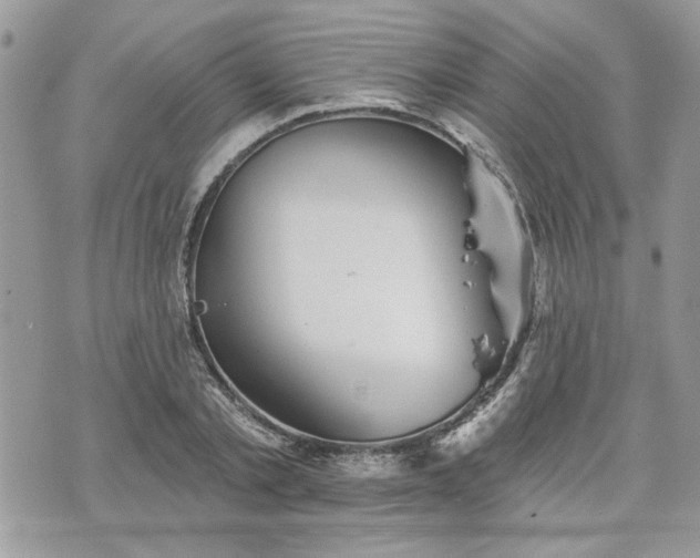 X0000070360789200606161250